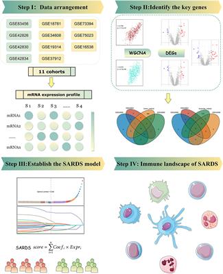 Integrative bioinformatics analysis to explore a robust diagnostic signature and landscape of immune cell infiltration in sarcoidosis